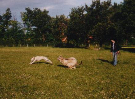 Khaaiidah97