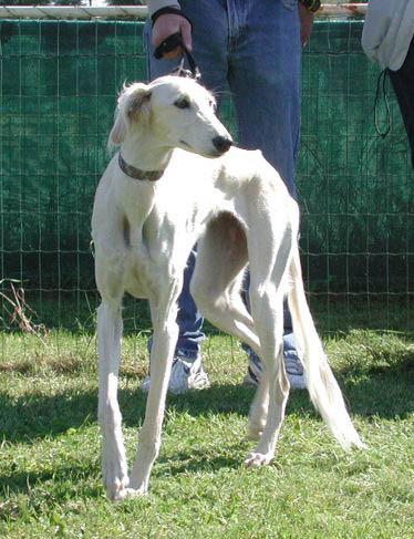 Khaaiidah991